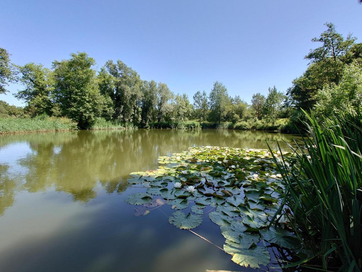 White Acre'S Holiday Park, 602 Sycamore Forest Saint Enoder Exteriör bild